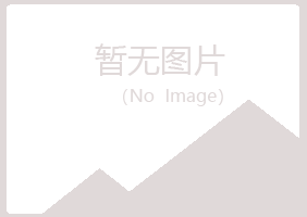 河池雅山能源有限公司